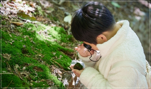 화담숲, 어린이 직업 체험 프로그램…'키즈 포레스트 레인저' 운영